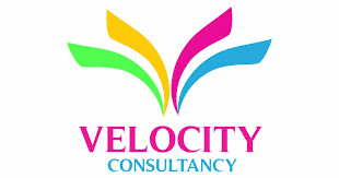 WordPress and Shopify Developer — Velocity Consultancy