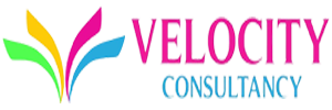 Velocity Consultancy
